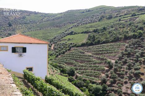 Quinta Do Monte Bravo - Douro - Quarto Duplo Villa Ervedosa do Douro Exterior foto