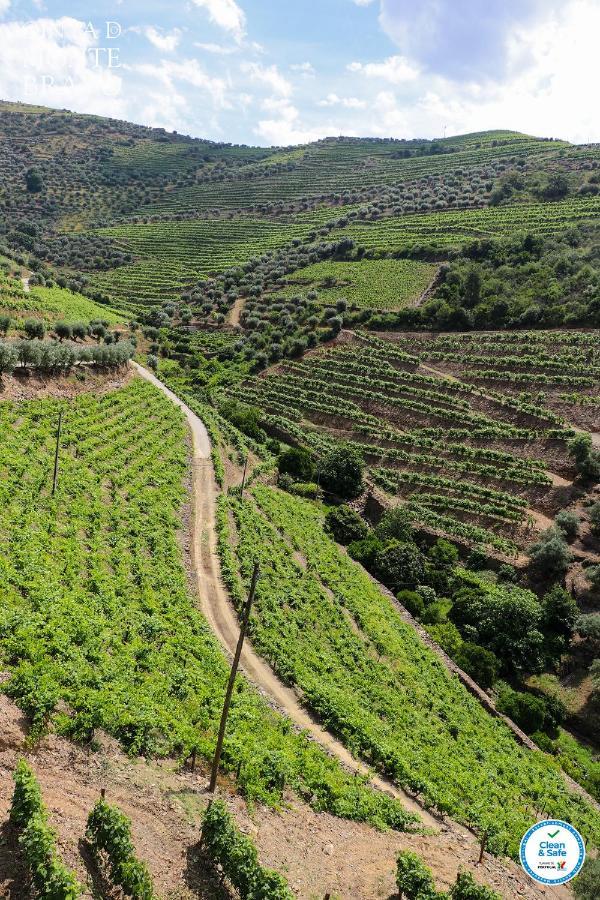 Quinta Do Monte Bravo - Douro - Quarto Duplo Villa Ervedosa do Douro Exterior foto