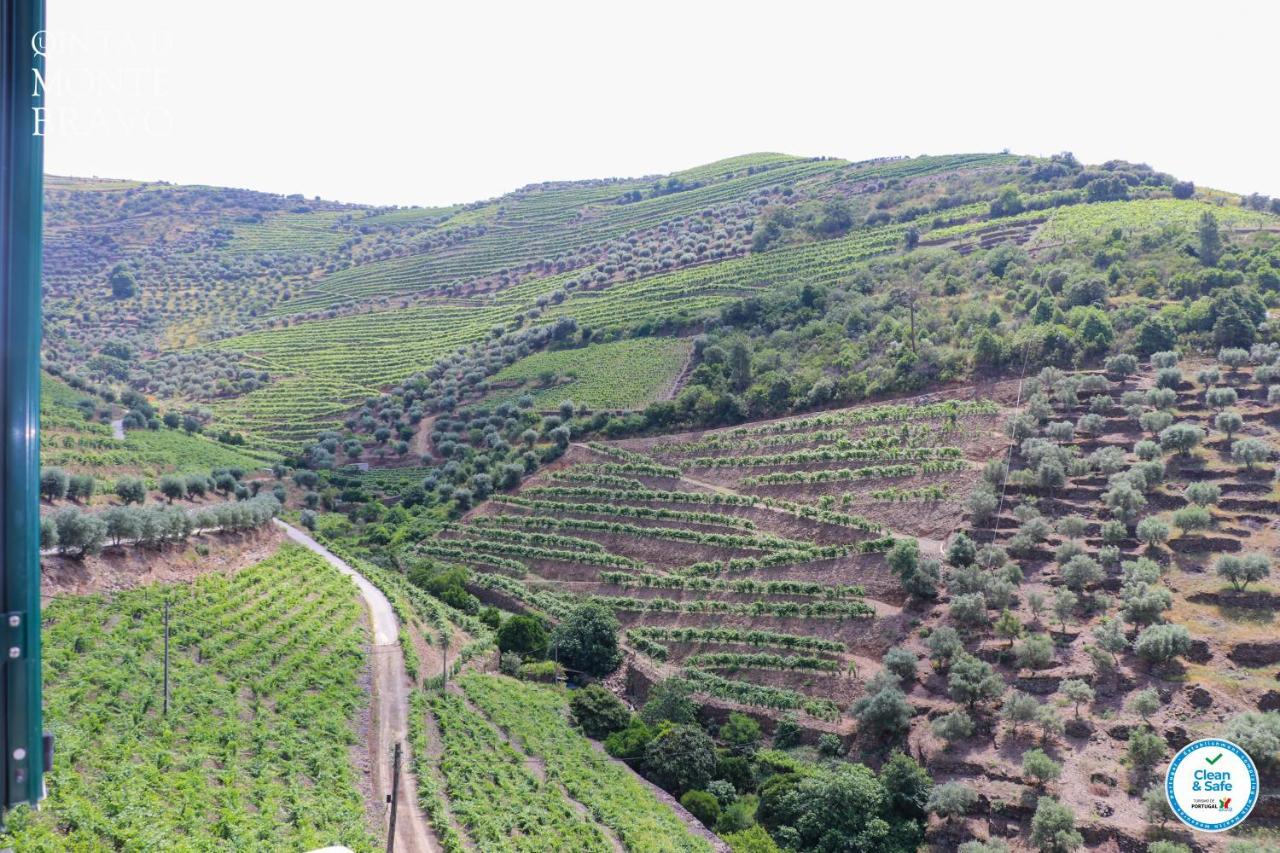 Quinta Do Monte Bravo - Douro - Quarto Duplo Villa Ervedosa do Douro Exterior foto